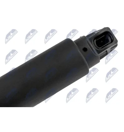 Tailgate gas strut for Bmw