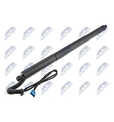 Tailgate gas strut for Bmw