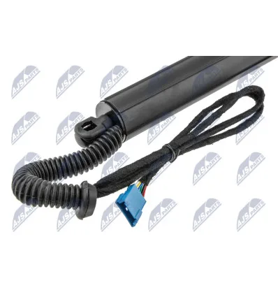 Tailgate gas strut for Bmw