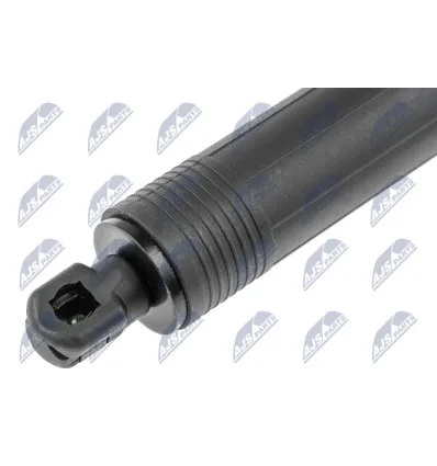 Tailgate gas strut for Bmw