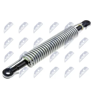 Tailgate gas strut for Bmw