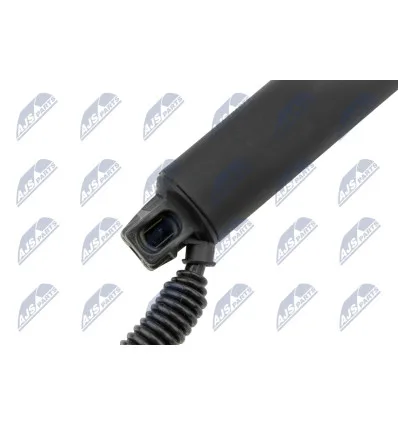 Tailgate gas strut for Bmw
