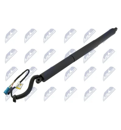 Tailgate gas strut for Bmw