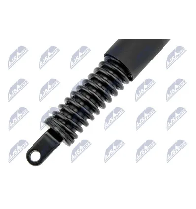Tailgate gas strut for Bmw