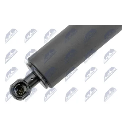 Tailgate gas strut for Bmw