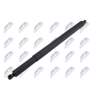 Tailgate gas strut for Bmw