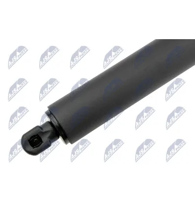 Tailgate gas strut for Bmw