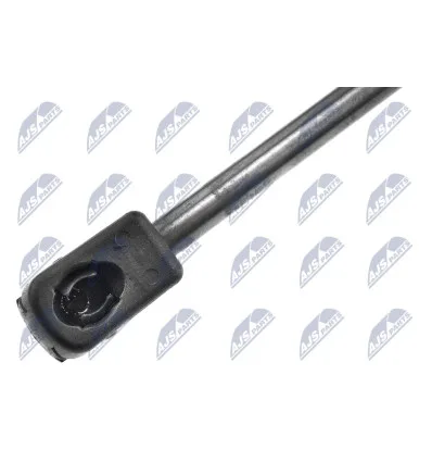 Tailgate gas strut for Chrysler