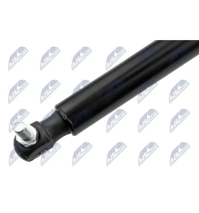 Tailgate gas strut for Chrysler