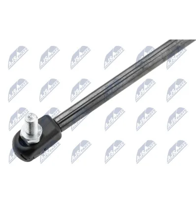 Tailgate gas strut for Chrysler
