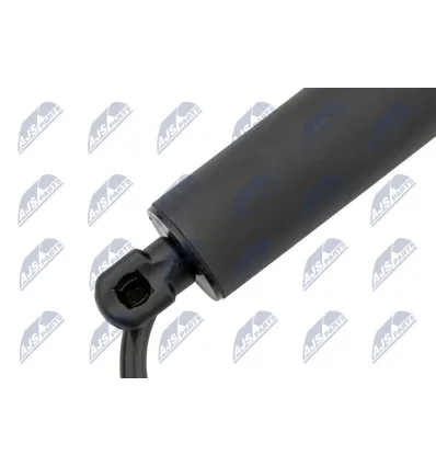 Tailgate gas strut for Tesla
