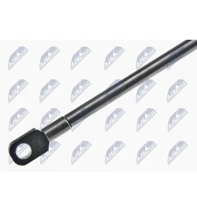 Tailgate gas strut for CitroËn