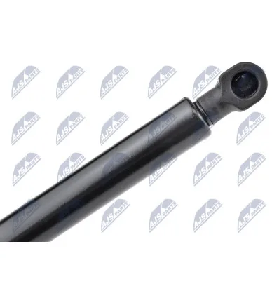 Tailgate gas strut for CitroËn