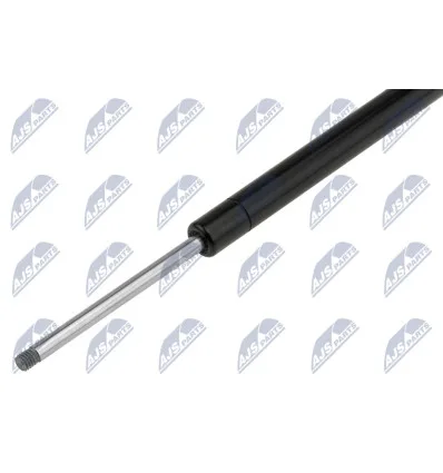 Tailgate gas strut for CitroËn