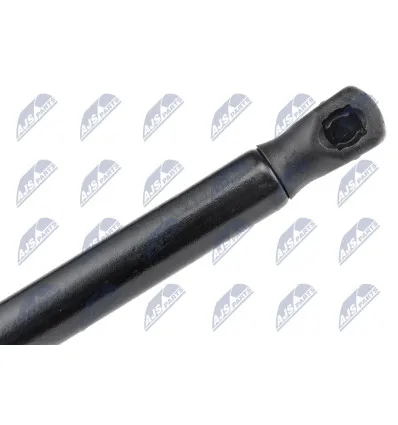 Tailgate gas strut for CitroËn