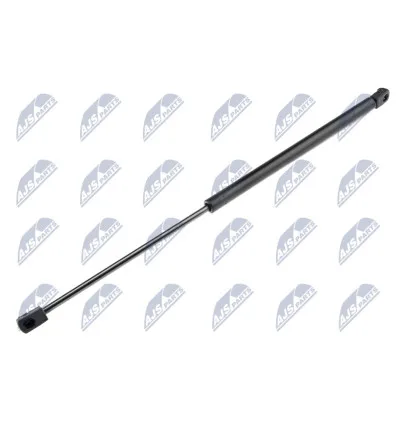 Tailgate gas strut for CitroËn
