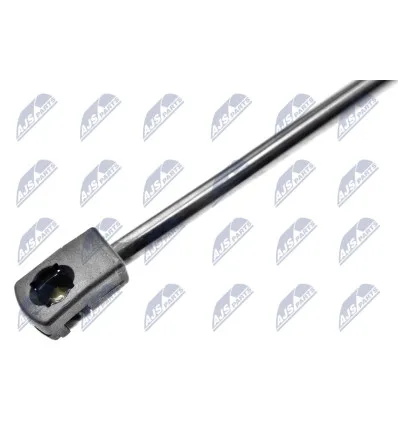 Tailgate gas strut for CitroËn