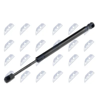 Tailgate gas strut for CitroËn