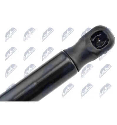 Tailgate gas strut for CitroËn