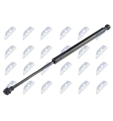Tailgate gas strut for CitroËn