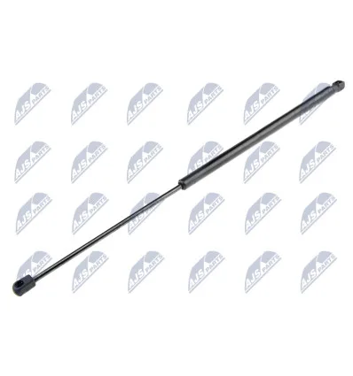 Tailgate gas strut for CitroËn
