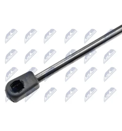 Tailgate gas strut for CitroËn