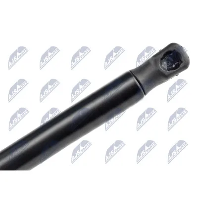 Tailgate gas strut for CitroËn