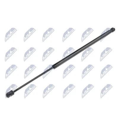 Tailgate gas strut for CitroËn