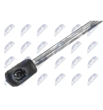 Tailgate gas strut for CitroËn