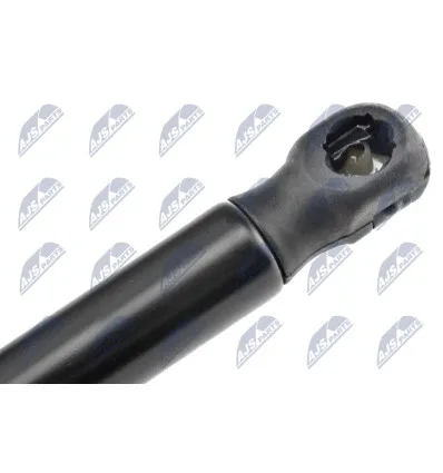 Tailgate gas strut for CitroËn