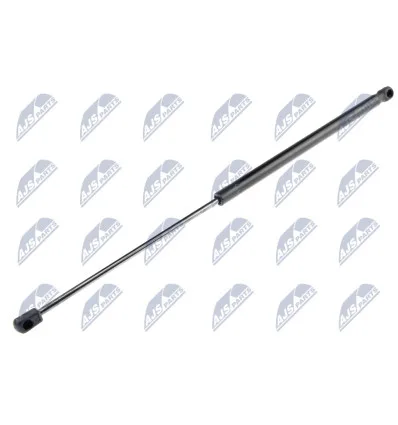 Tailgate gas strut for CitroËn