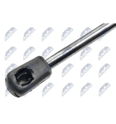 Tailgate gas strut for CitroËn