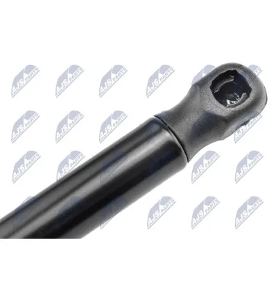 Tailgate gas strut for CitroËn