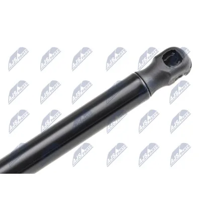 Tailgate gas strut for CitroËn
