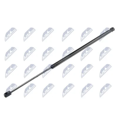 Tailgate gas strut for CitroËn