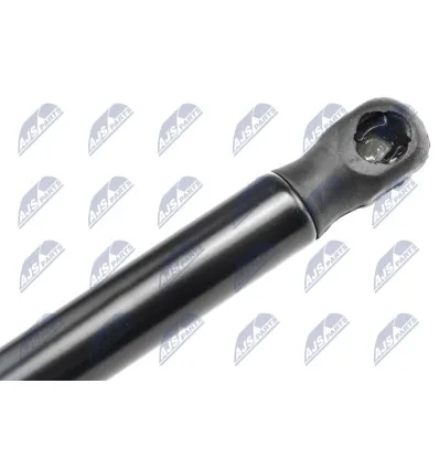 Tailgate gas strut for CitroËn