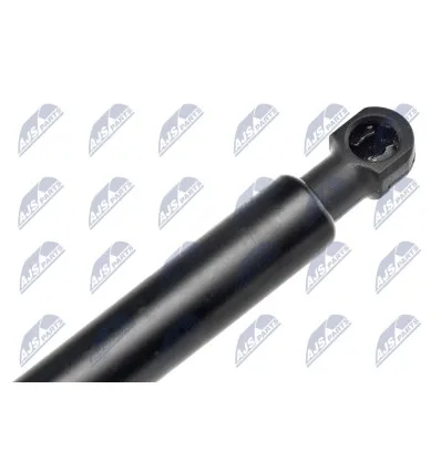 Tailgate gas strut for Ford
