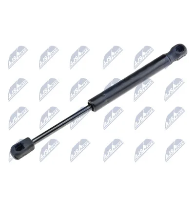 Tailgate gas strut for Ford