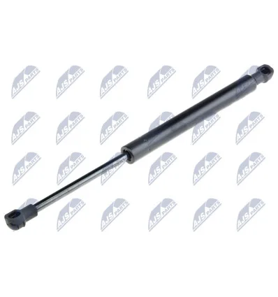 Tailgate gas strut for Ford