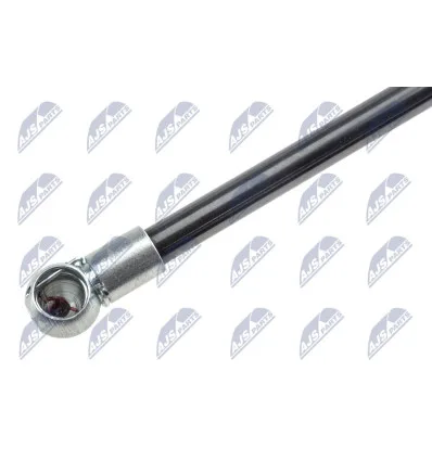 Tailgate gas strut for Ford