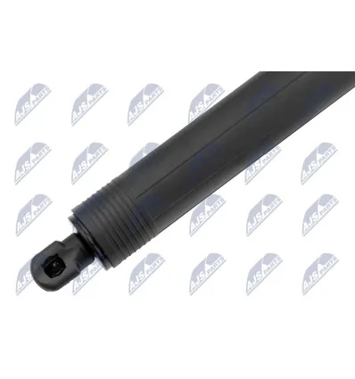 Tailgate gas strut for Ford