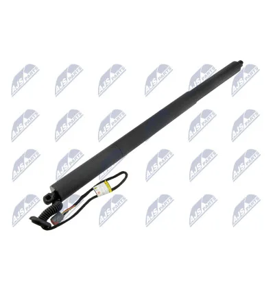 Tailgate gas strut for Ford