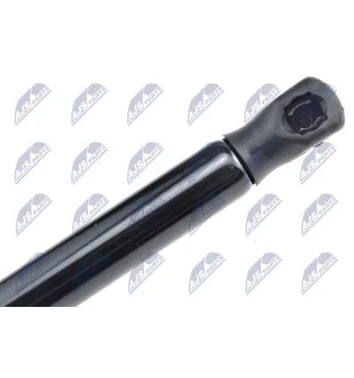 Tailgate gas strut for Fiat