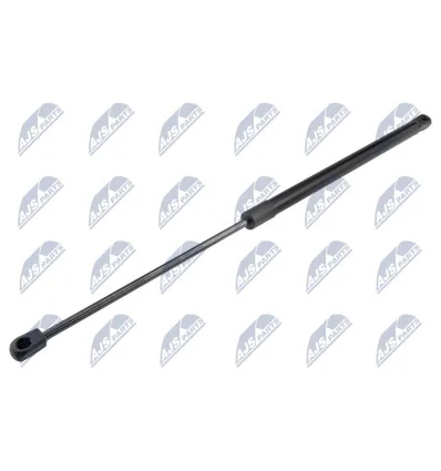 Tailgate gas strut for Lancia