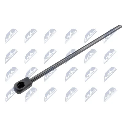 Tailgate gas strut for Lancia