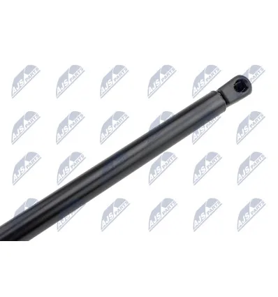 Tailgate gas strut for Lancia