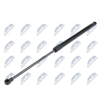 Tailgate gas strut for Lancia