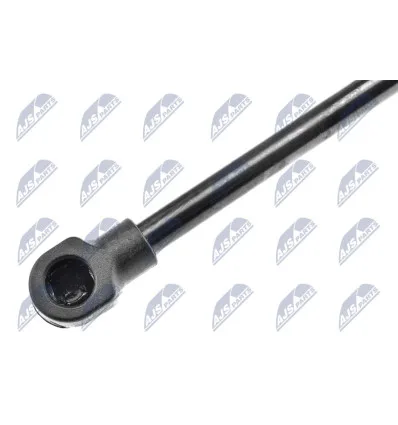 Tailgate gas strut for Renault