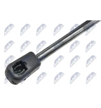 Tailgate gas strut for Renault