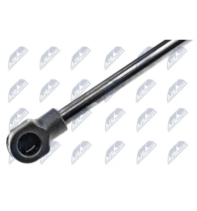 Tailgate gas strut for Renault